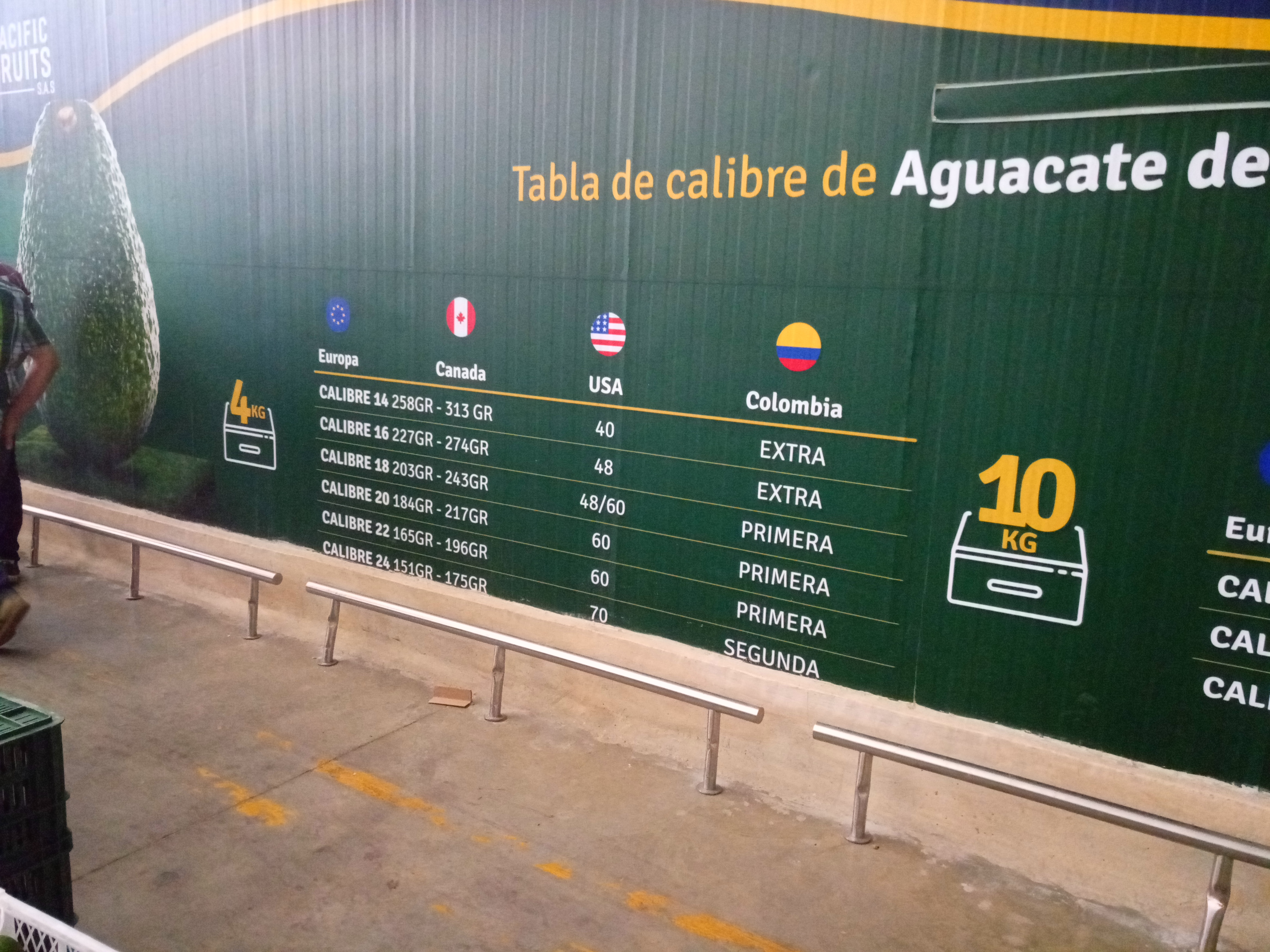 Fruta fresca Dorado División